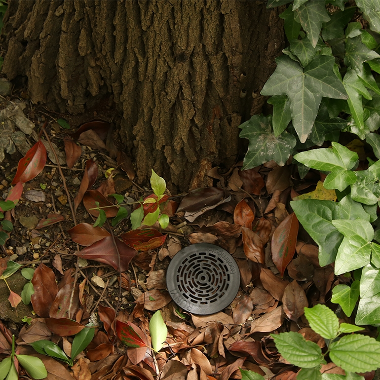 樹根灌溉器詳情