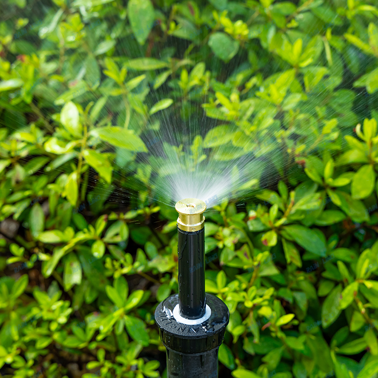 Brass Spray Nozzles Effect(4)