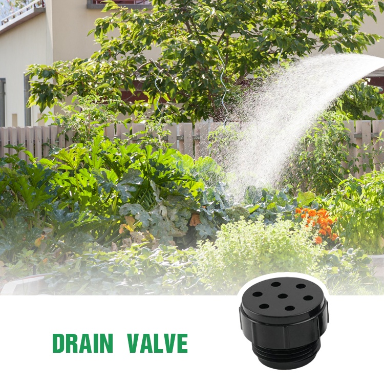 Drain Valve (1)