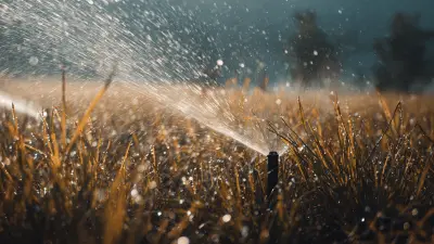 The Ultimate Guide to Efficient Grass Sprinkler Systems for a Lush Lawn