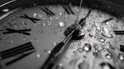 How to Find the Best Suppliers for High Quality Sprinkler Clocks